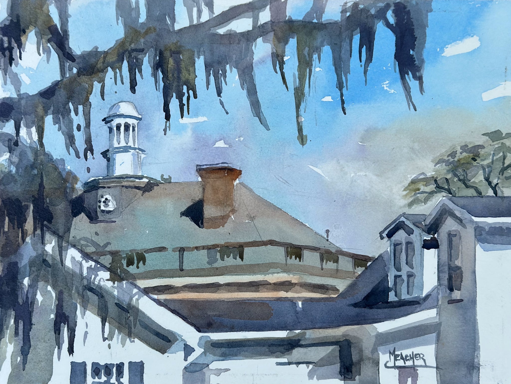 ROOFTOPS AND SPANISH MOSS